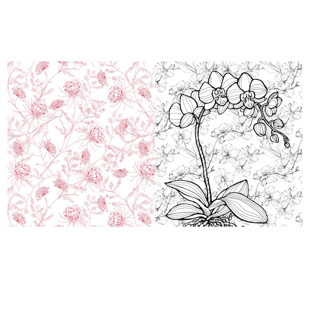 Beautiful Botanicals Colouring Book