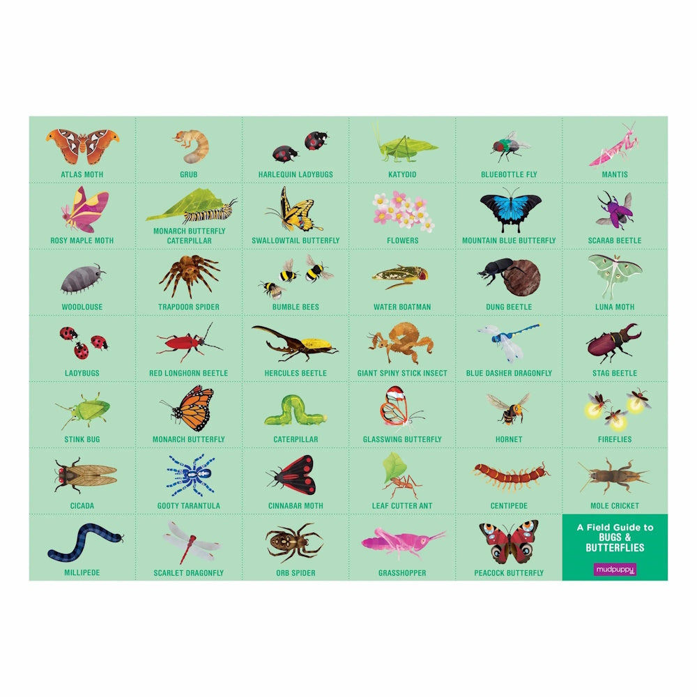 Bugs & Butterflies 64 Piece Search and Find Puzzle