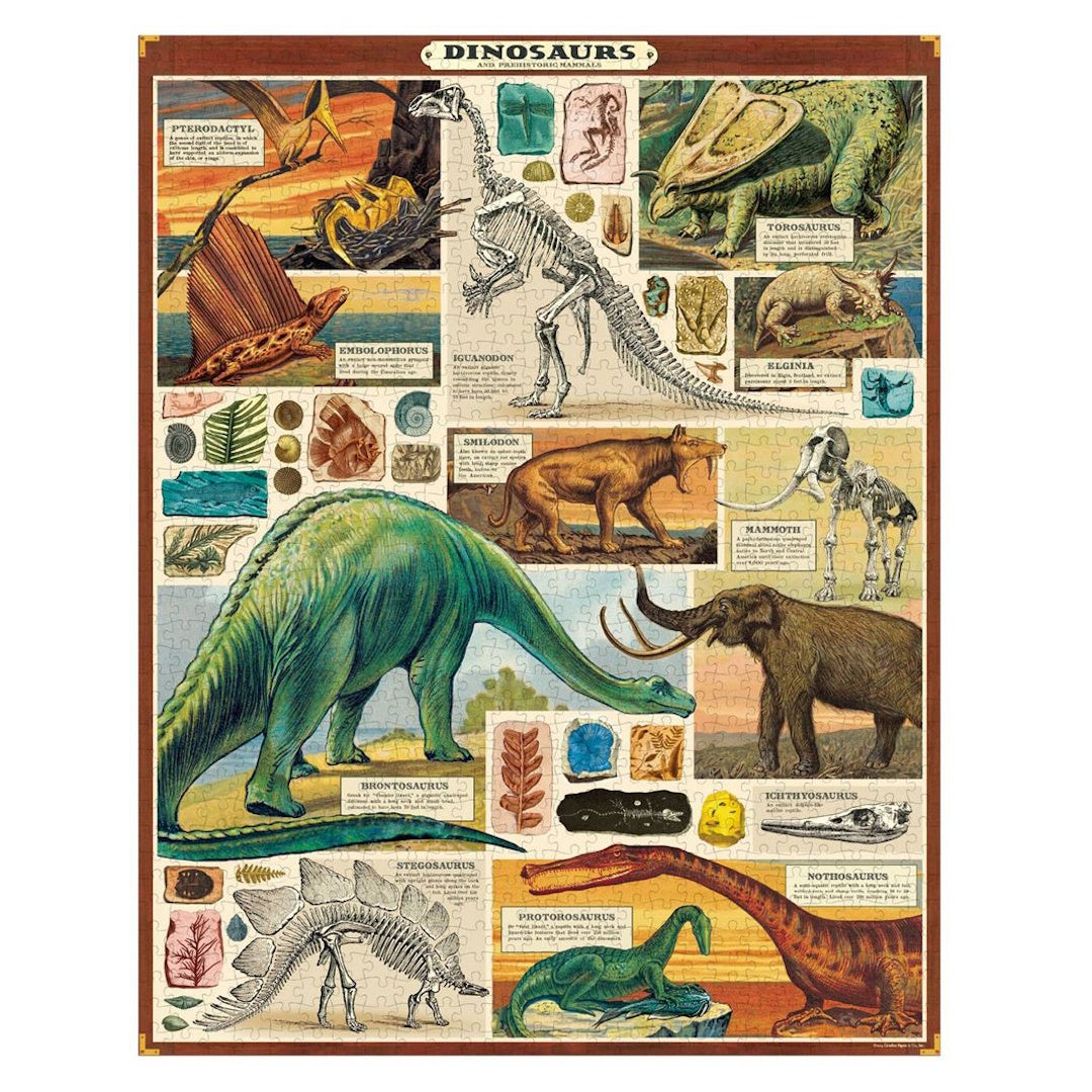 Cavallini 1000 Piece Jigsaw Puzzle - Dinosaurs