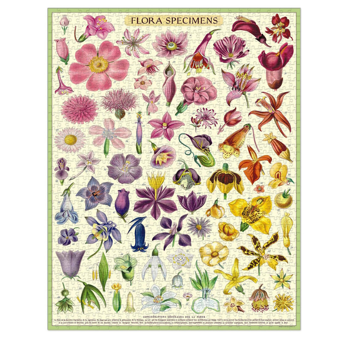 Cavallini 1000 Piece Jigsaw Puzzle - Flora Specimens