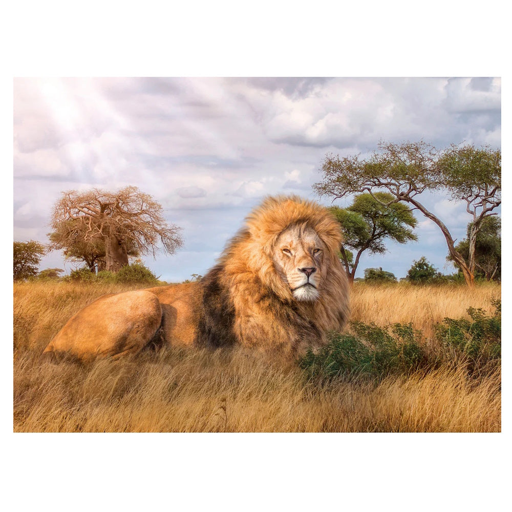 Clementoni 1000 Piece Jigsaw Puzzle - The King