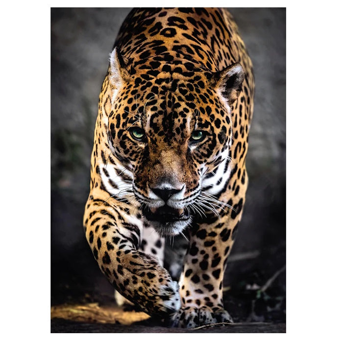 Clementoni 1000 Piece Jigsaw Puzzle - Walk of the Jaguar