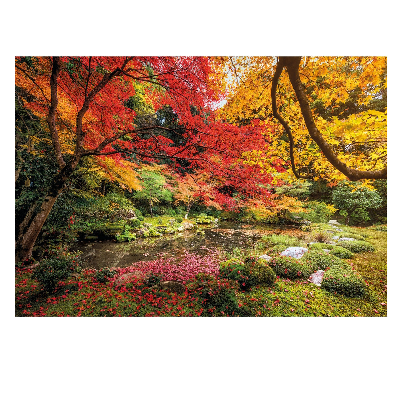Clementoni 1500 Piece Jigsaw Puzzle - Autumn Park