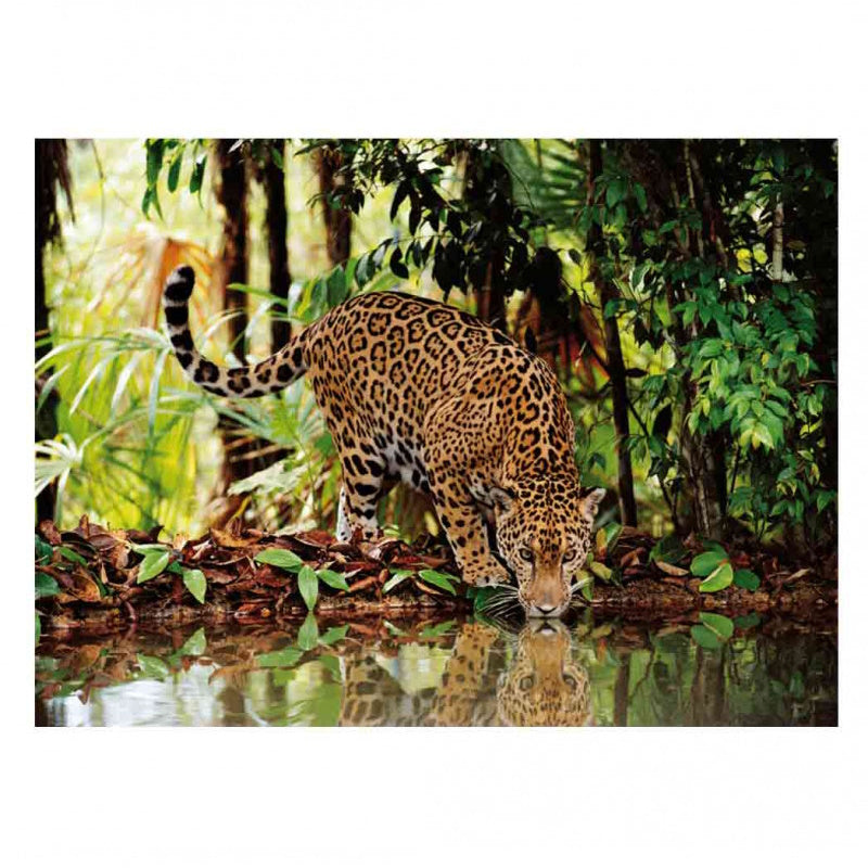 Clementoni 2000 Piece Jigsaw Puzzle - Leopard