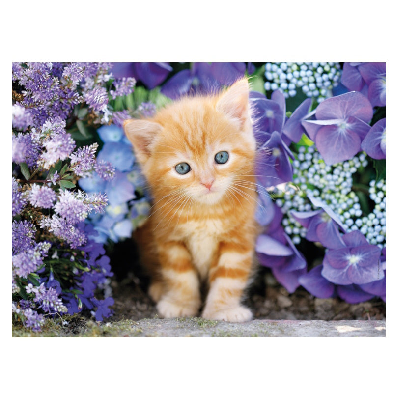 Clementoni 500 Piece Jigsaw Puzzle - Ginger Cat in Flowers