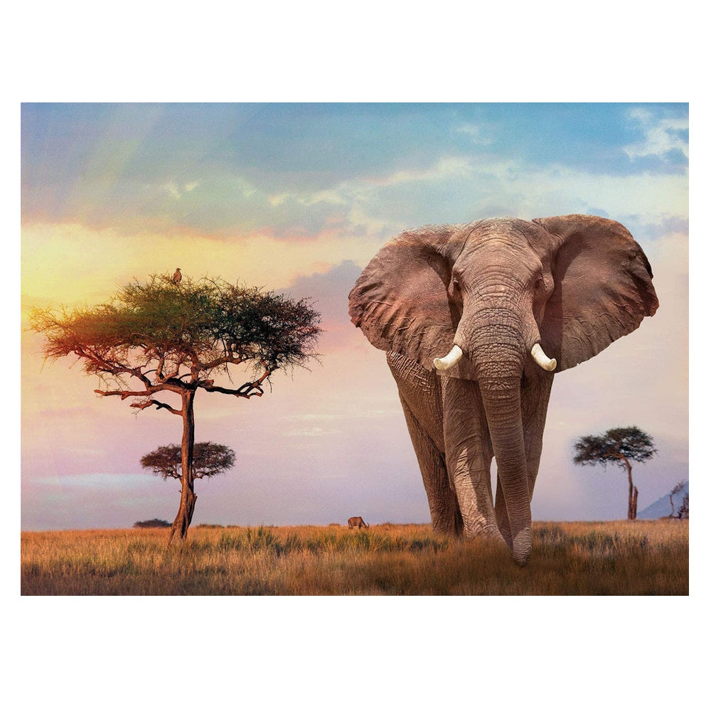 Clementoni 500 Piece Jigsaw Puzzle - African Sunset