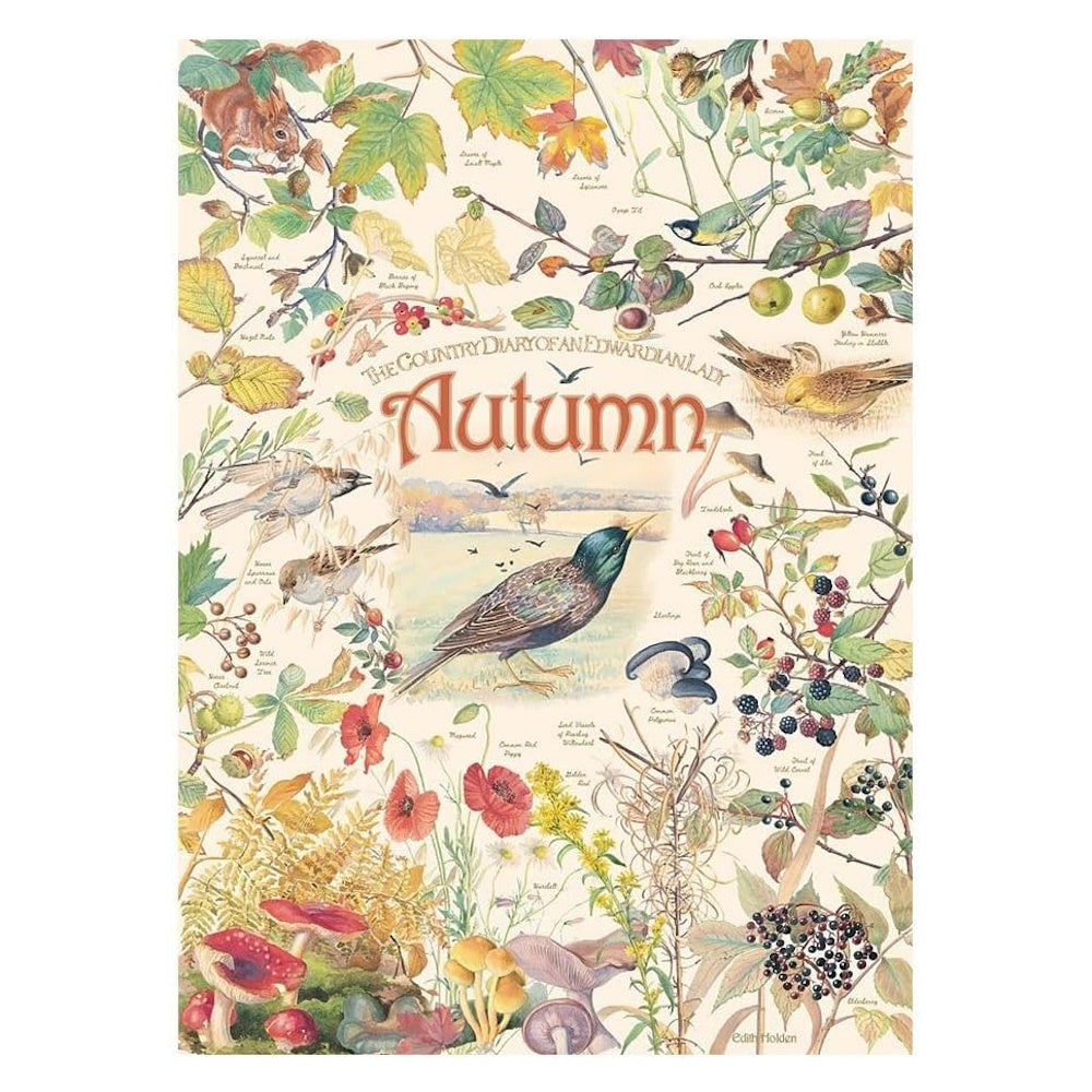 Cobble Hill 1000 Piece Puzzle - Country Diary Autumn