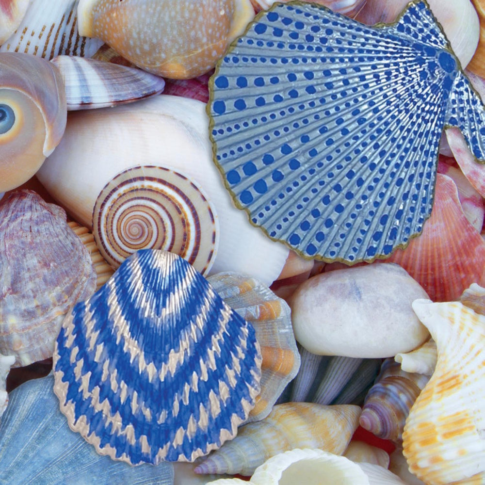 Craft Maker Paint Your Own Seashells Pacific Dreams