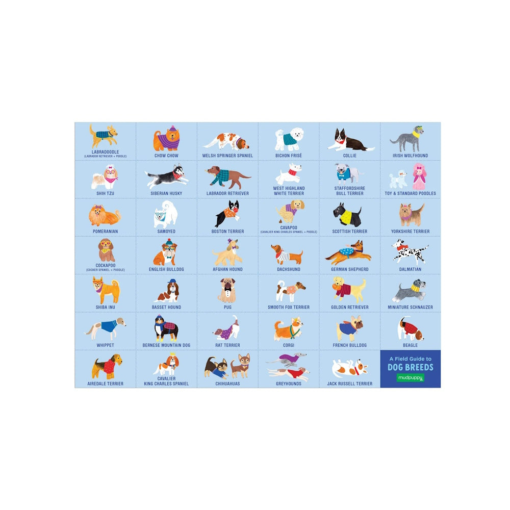 Dog Park 64 Piece Search and Find Puzzle