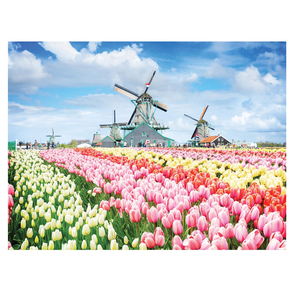 Elevate 300 Large Piece Puzzle - Dutch Windmills, Netherlands