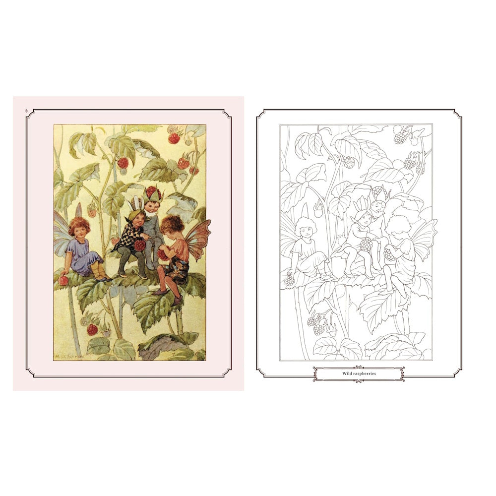 Enchanting Fairies Colouring Kit
