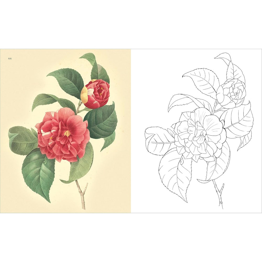 The Flowers Colouring Book