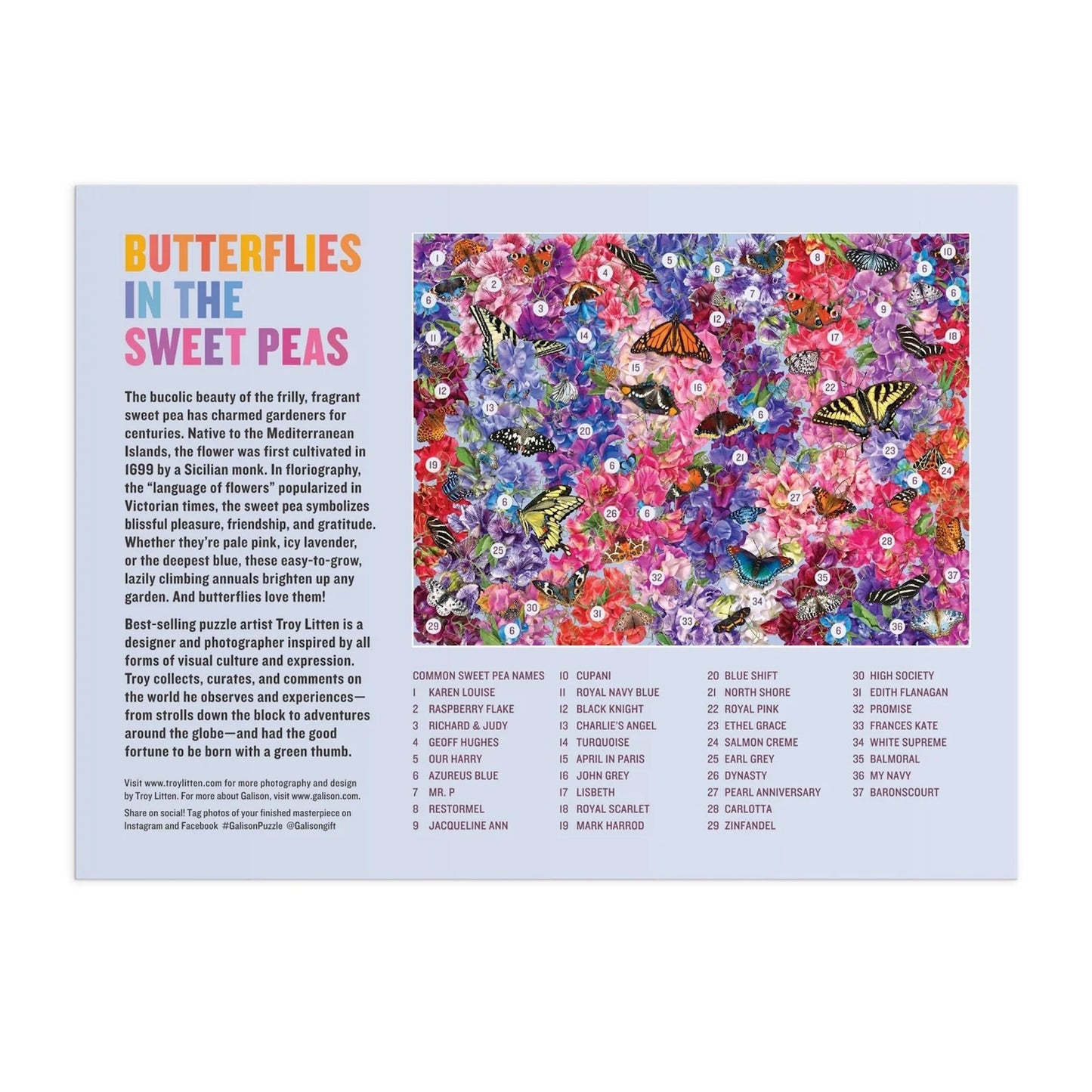 Galison 1000 Piece Jigsaw Puzzle - Butterflies in the Sweet Peas