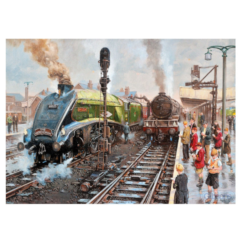 Gibsons 1000 Piece Jigsaw Puzzle - Spotters At Doncaster