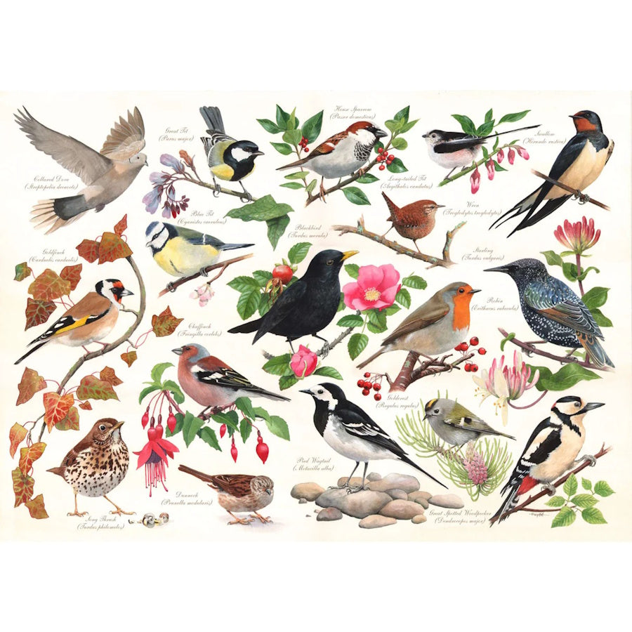 House of Puzzles 1000 Piece Puzzle - Birds In My Garden
