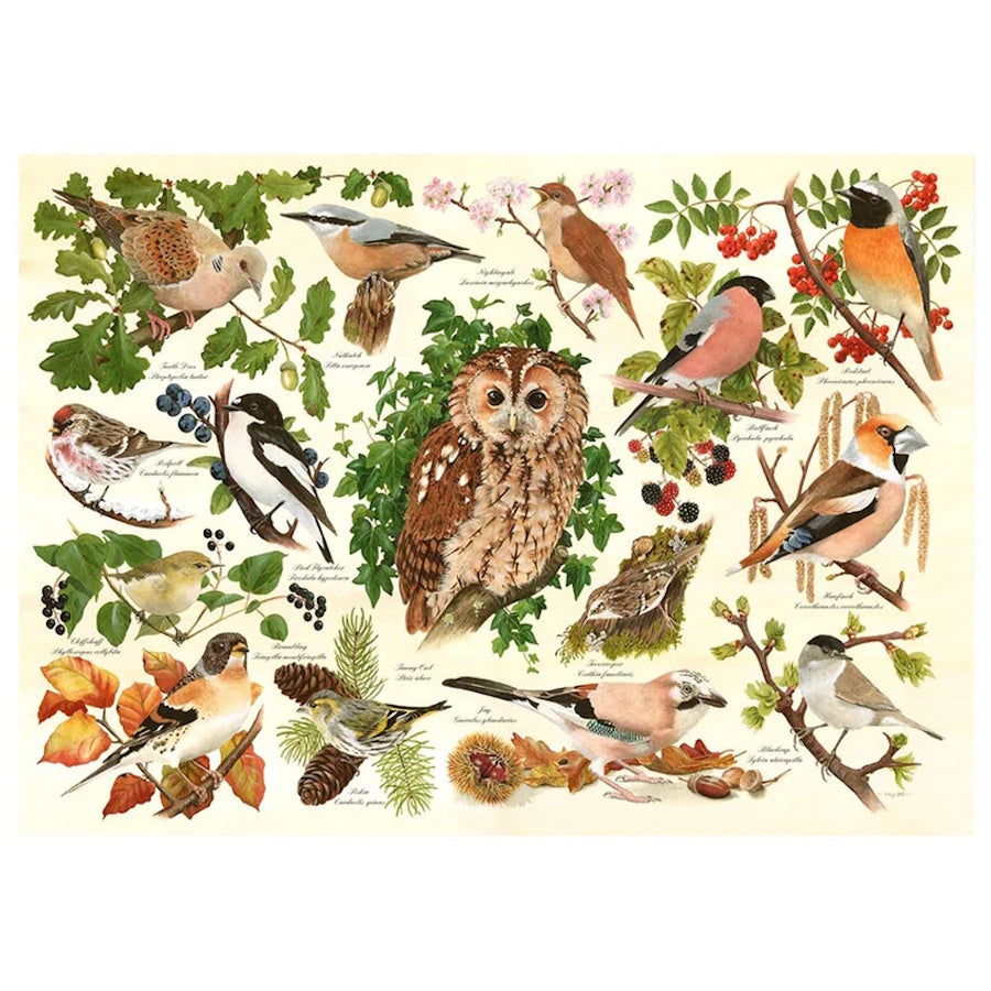 House of Puzzles BIG 500 Piece Puzzle - Woodland Birds