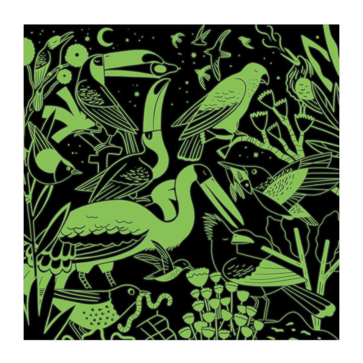 Birds Illuminated 500 Piece Glow in the Dark Family Puzzle