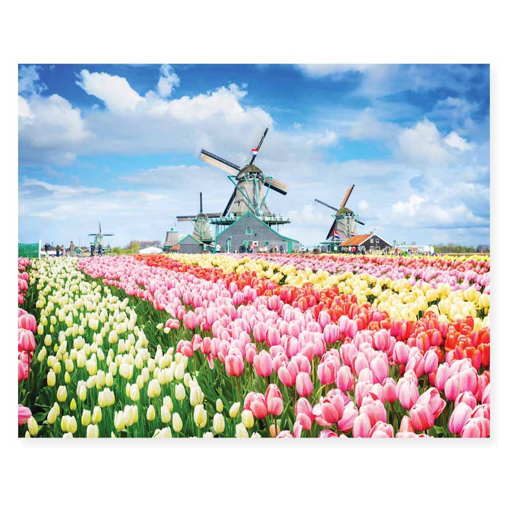 Mindbogglers 1000 Piece Puzzle - Dutch Windmills, Netherlands