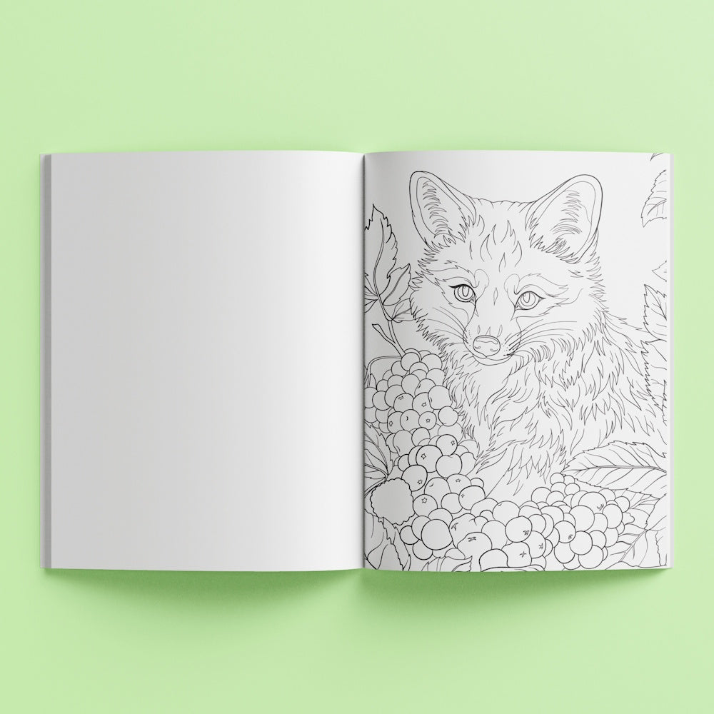 Mindwaves Calming Colouring Book - Beautiful Harmony