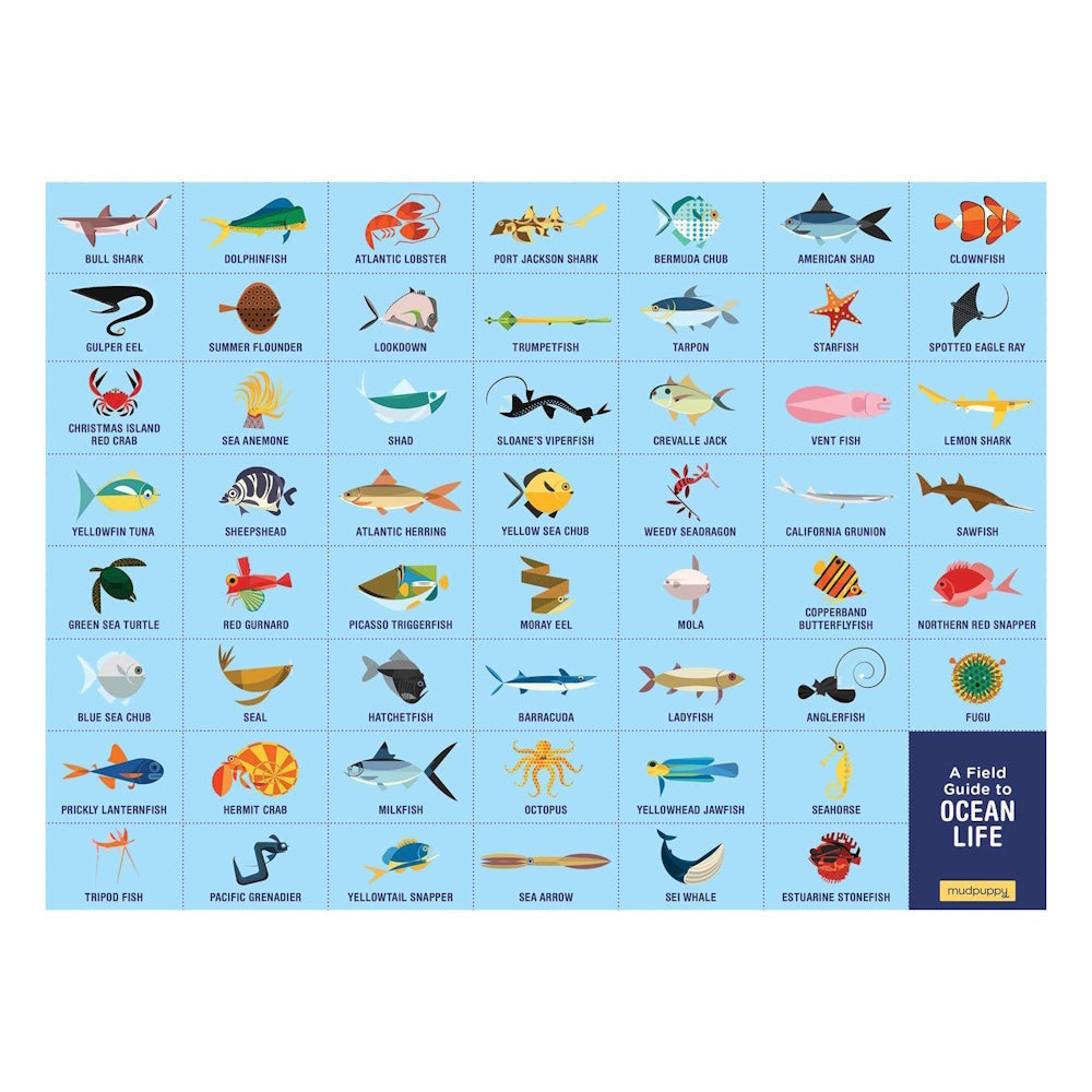 Mudpuppy Ocean Life 64 Piece Search & Find Puzzle