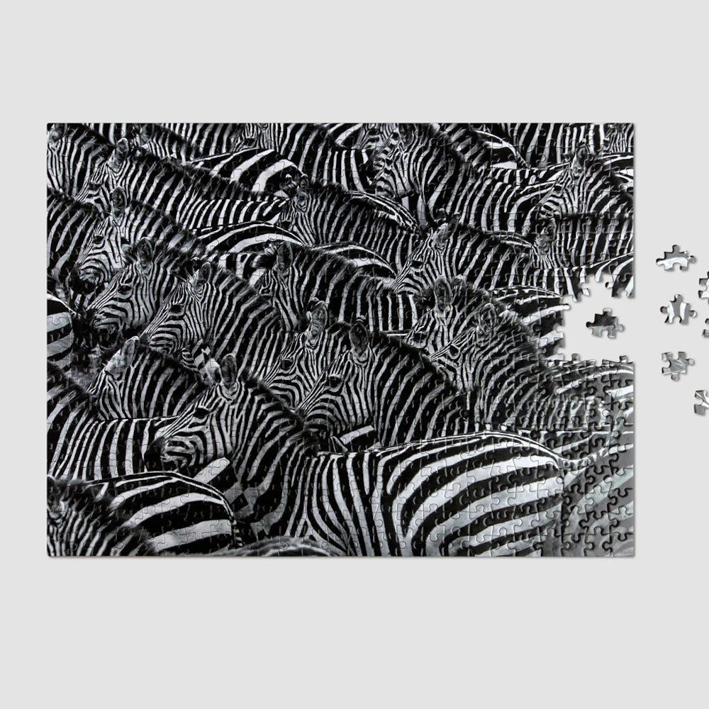 Printworks 500 Piece Puzzle - Zebra