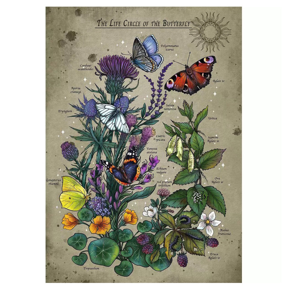 Ravensburger 1000 Piece Puzzle - The Life Circle of the Butterfly