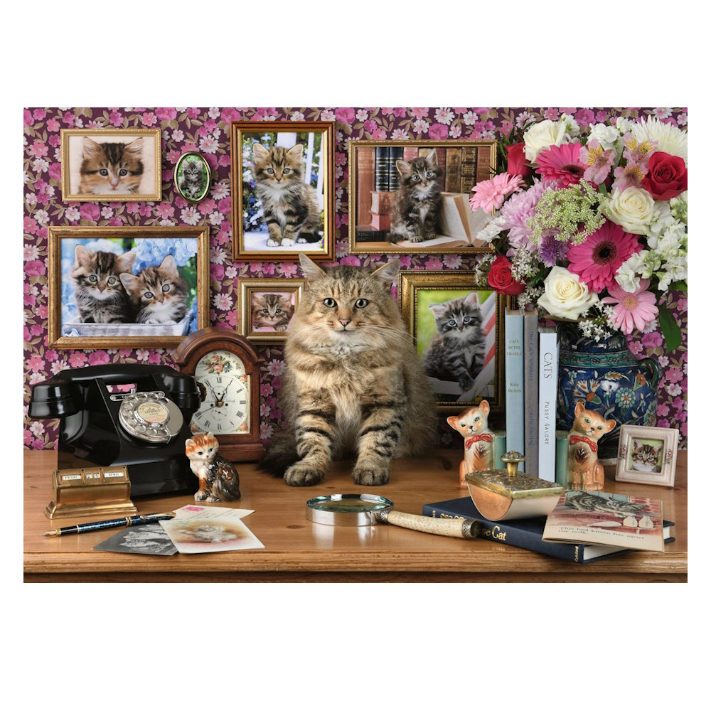 Ravensburger 1000 Piece Puzzle - My Cute Kitty