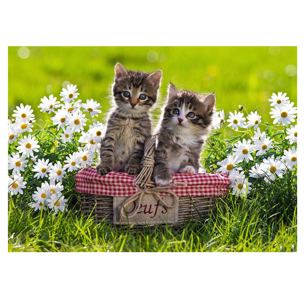 Ravensburger 1000 Piece Puzzle - Picnic in the Meadow