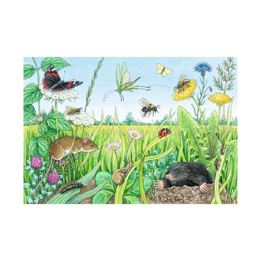 Ravensburger 2 x 12 Piece Puzzles - Animals in the Forest