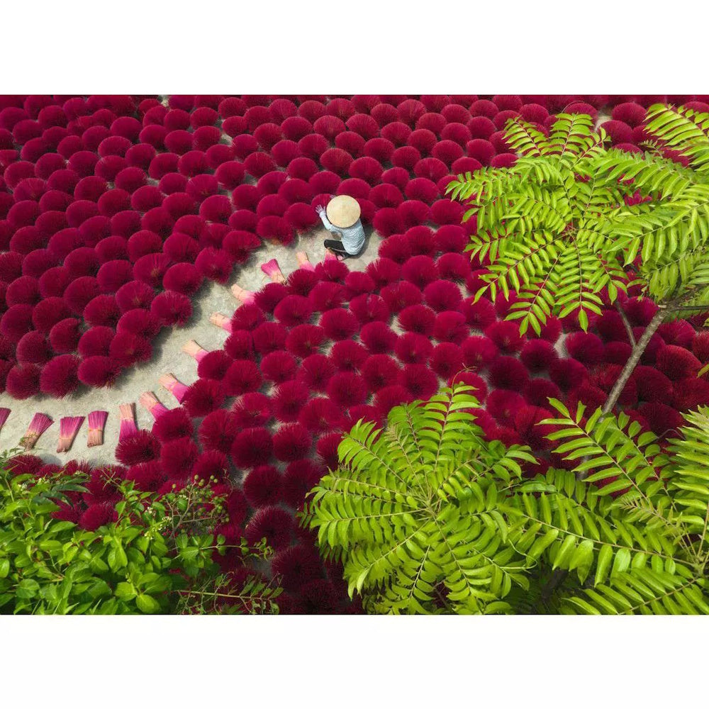 Ravensburger 500 Piece Puzzle - A Sea of Red