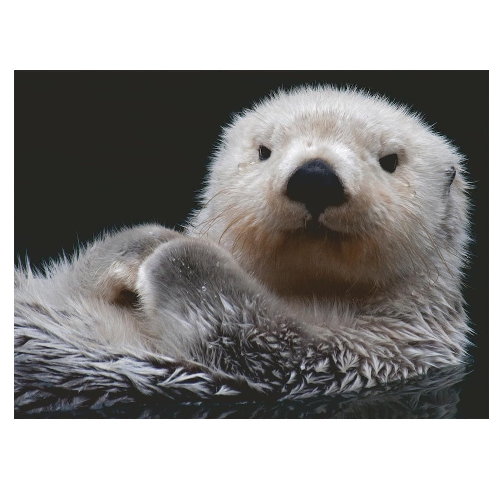 Ravensburger 500 Piece Puzzle - Adorable Little Otter