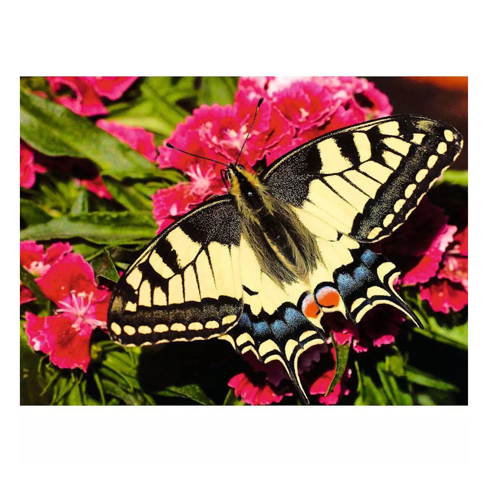 Ravensburger 500 Piece Puzzle - Butterfly