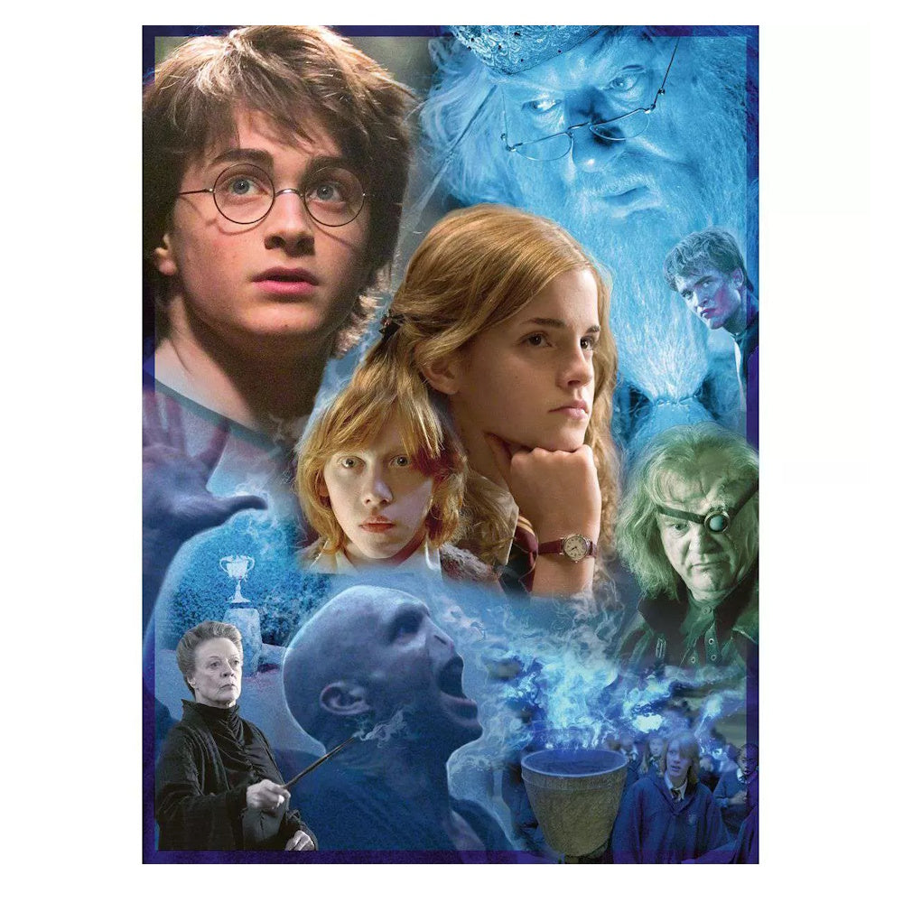 Ravensburger 500 Piece Puzzle - Harry Potter in Hogwarts