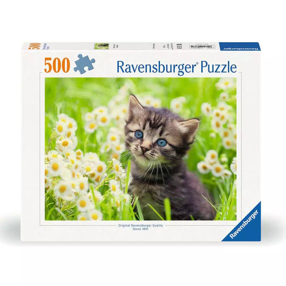 Ravensburger 500 Piece Puzzle - Kitten in the Meadow