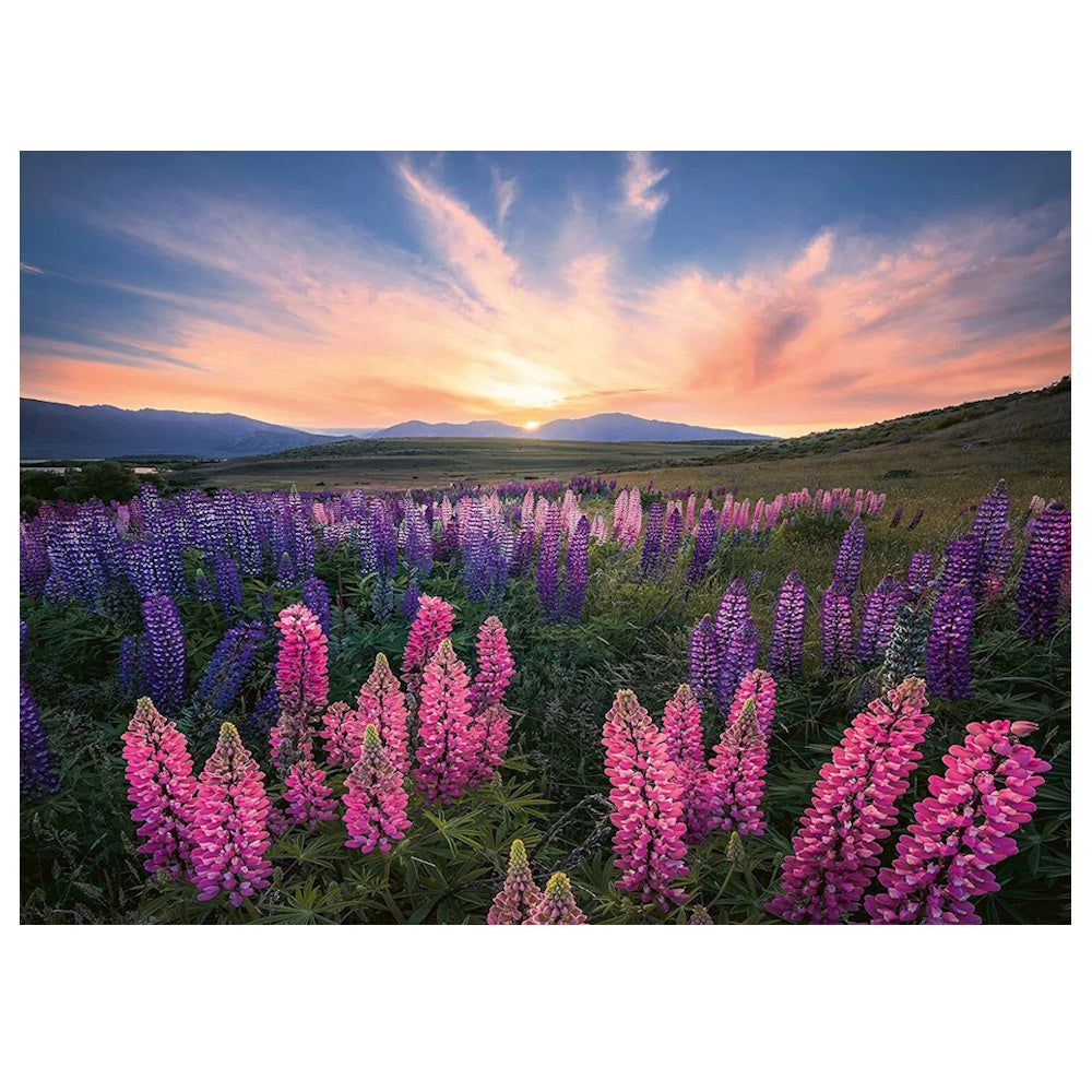 Ravensburger 500 Piece Puzzle - Lupines