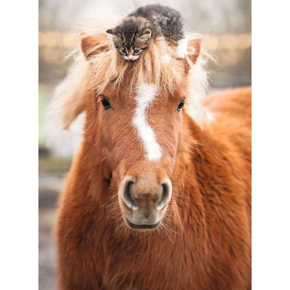 Ravensburger 500 Piece Puzzle - The Little Rider