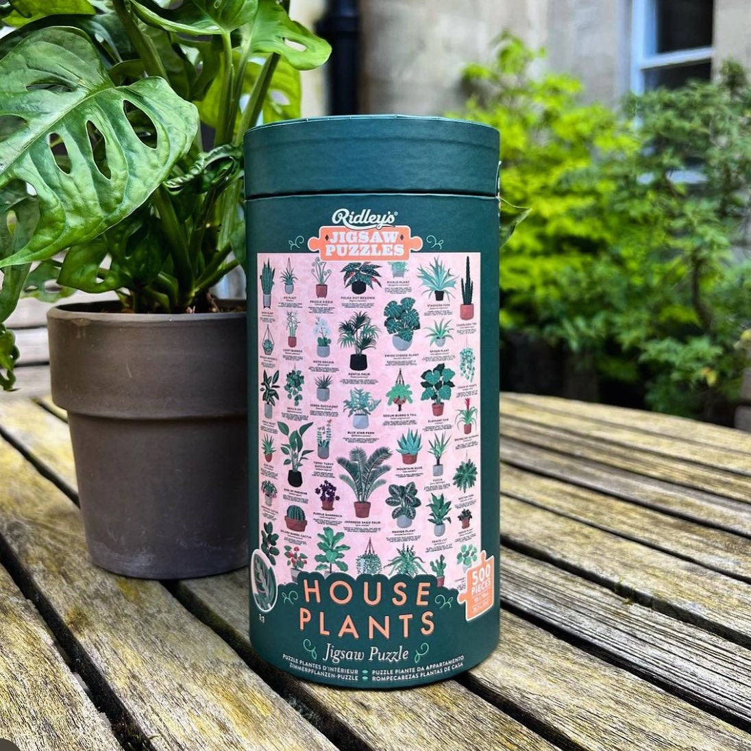 House Plant Lover's 1000 Piece Puzzle