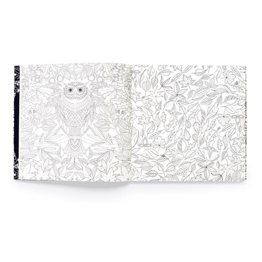 Secret Garden Colouring Book: 10th Anniversary Edition