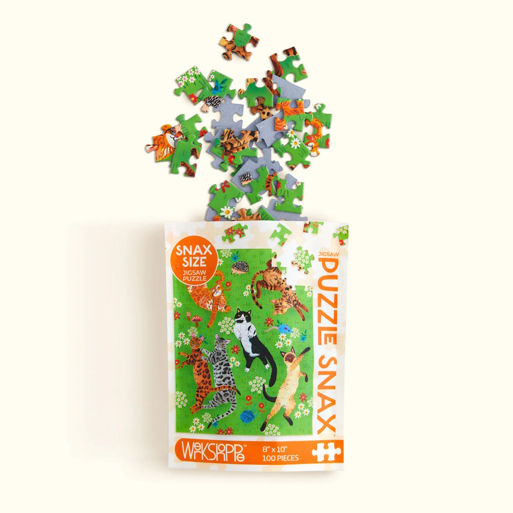 WerkShoppe 100 Piece Puzzle Snax - Cat Nap