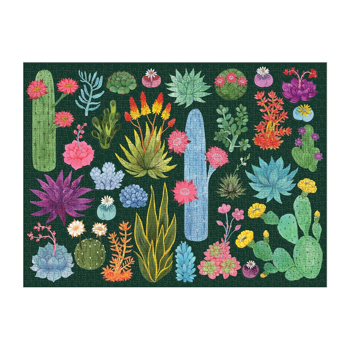 Desert Flora 1000 Piece Puzzle with Shaped Pieces