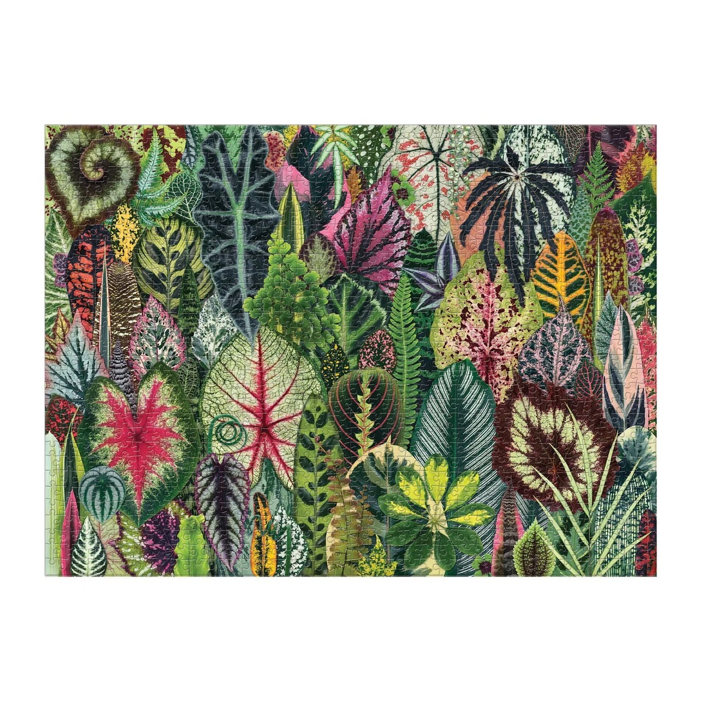 Troy Litten Houseplant Jungle 1000 Piece Jigsaw Puzzle