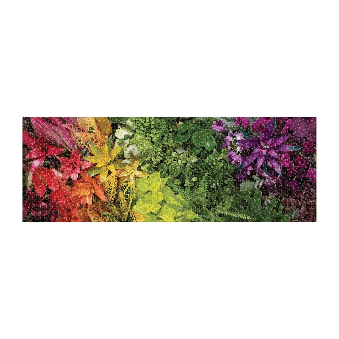 Plant Life 1000 Piece Panoramic Jigsaw Puzzle