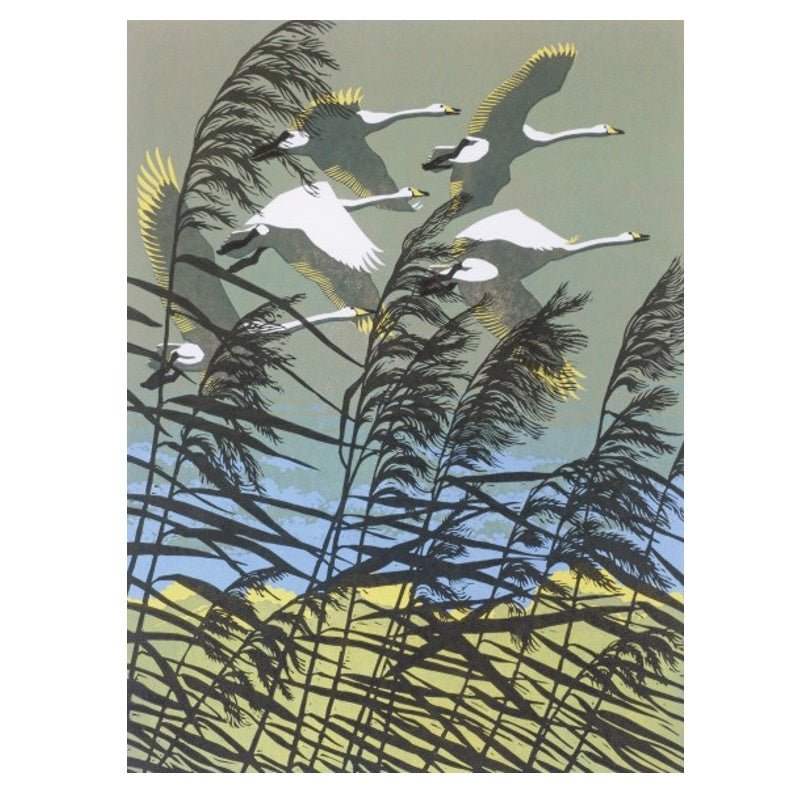 Robert Gillmor: Swans Flying over the Reeds 500 Piece Puzzle