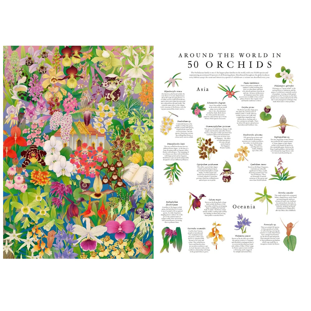 Around the World in 50 Orchids 1000 Piece Puzzle