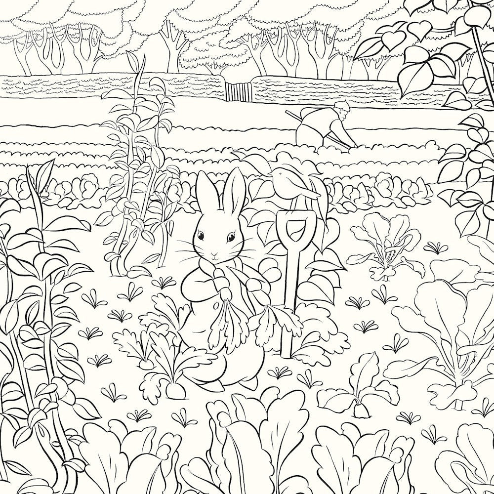 Beatrix Potter Peter Rabbit Colouring Book