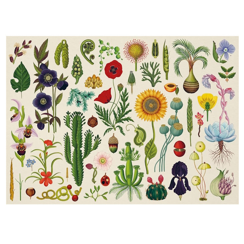 Botanicum 1000 Piece Puzzle