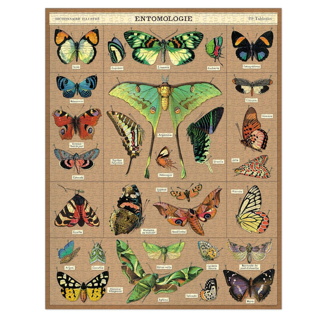 Cavallini 1000 Piece Jigsaw Puzzle - Entomology