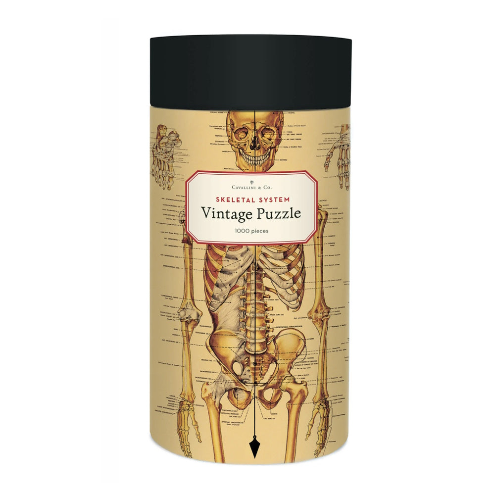 Cavallini 1000 Piece Jigsaw Puzzle - Skeletal System
