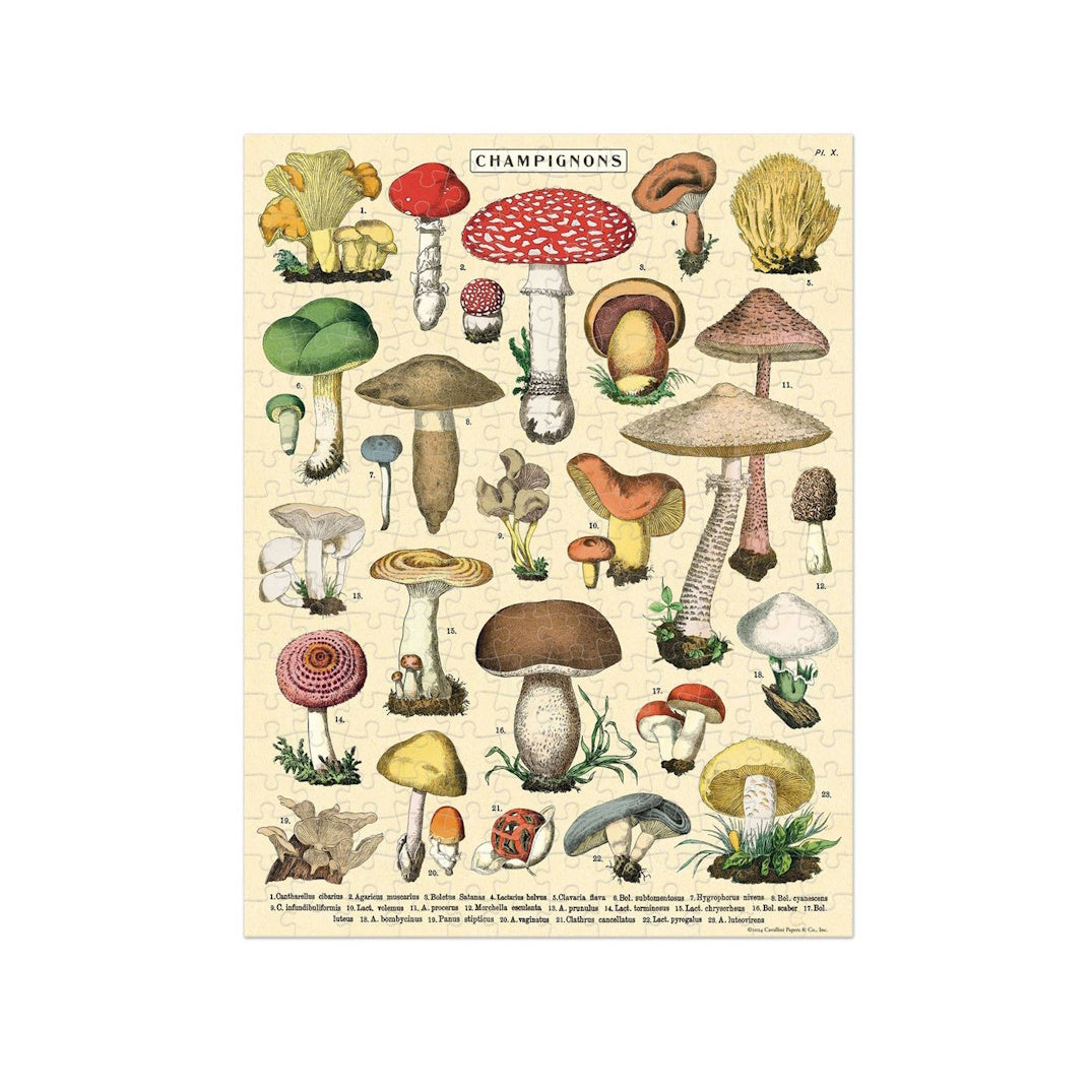 Cavallini 240 Piece Mini Jigsaw Puzzle - Mushrooms
