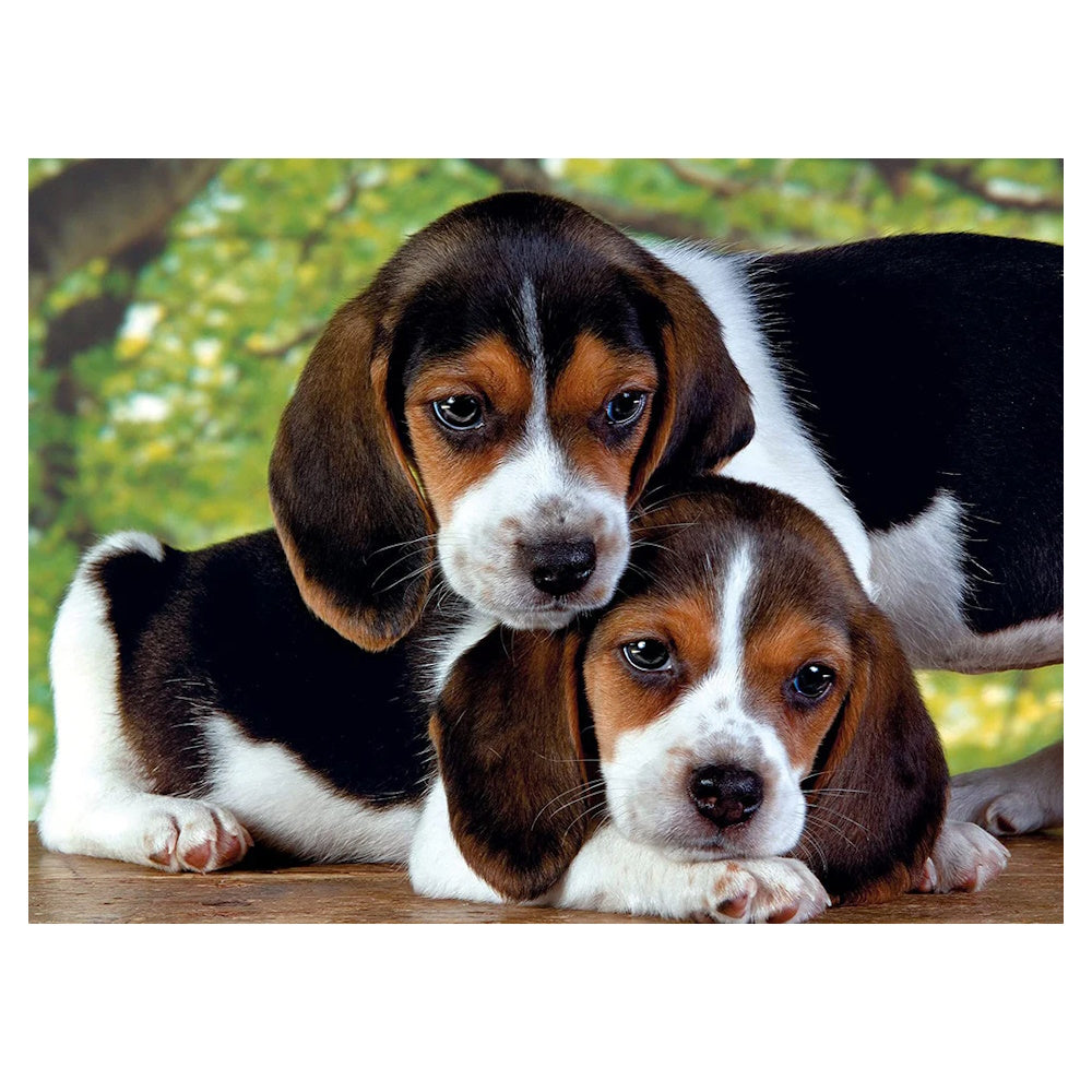 Clementoni 500 Piece Jigsaw Puzzle - Beagle Puppies